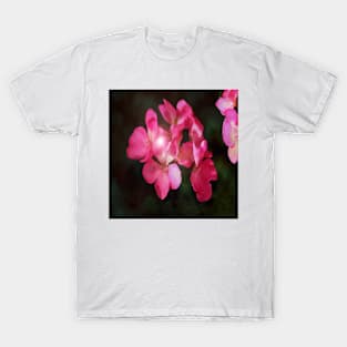 Glow - Pink Floral Blooms - Watercolor Botanical Flowers T-Shirt